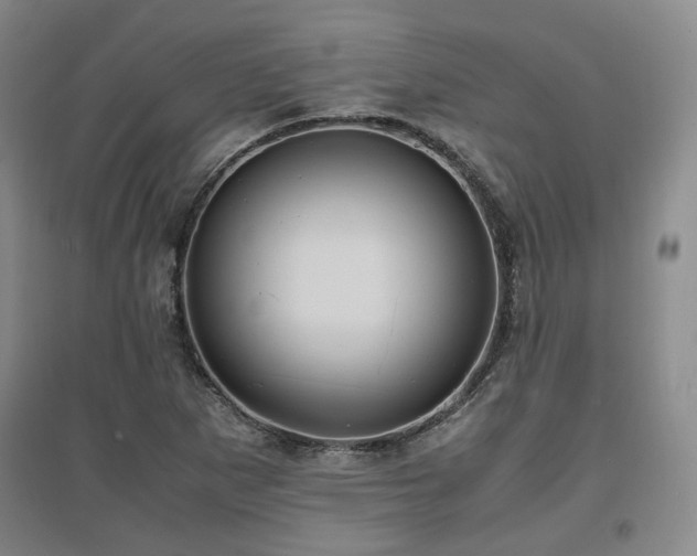 X0000097501265200802221436