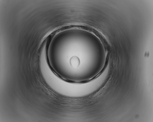 X0000097501266200802221436