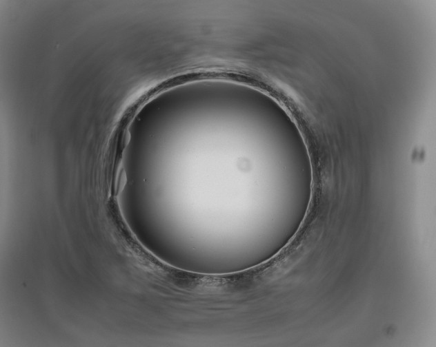 X0000097501267200802221436