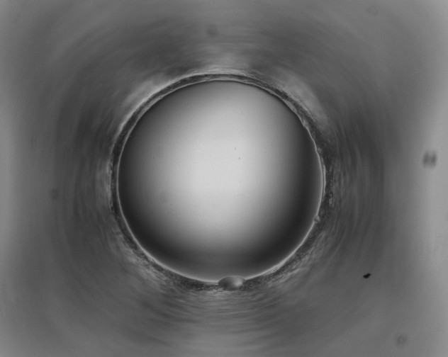X0000097501268200802221436