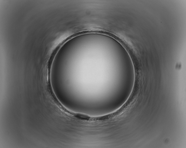 X0000097501269200802221436