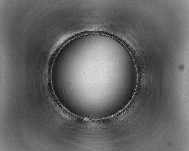 X0000097501270200802221436