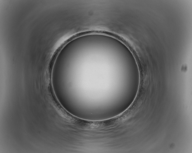 X0000097501271200802221436