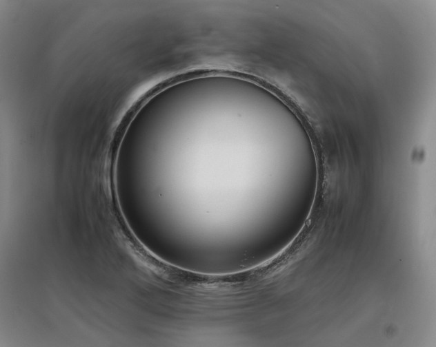 X0000097501272200802221436