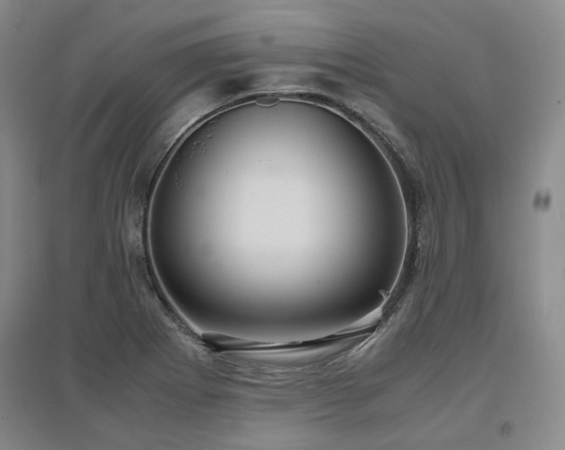 X0000097501273200802221436