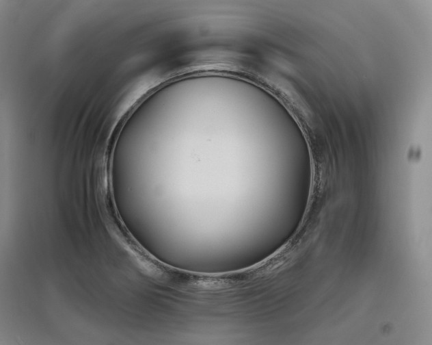 X0000097501274200802221436