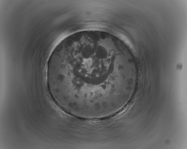 X0000097501275200802221436