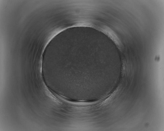 X0000097501276200802221436