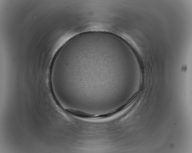 X0000097501277200802221436
