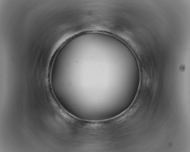 X0000097501278200802221436