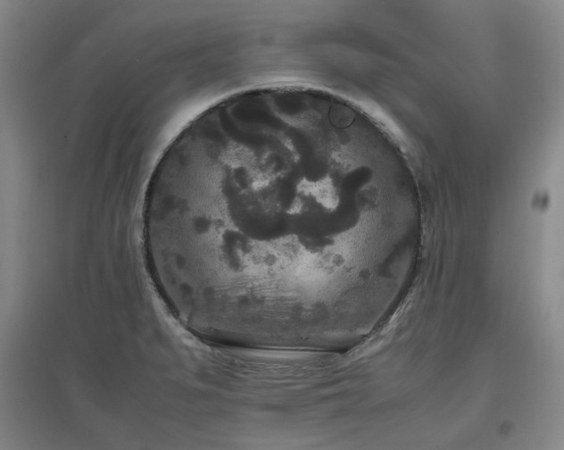 X0000097501279200802221436