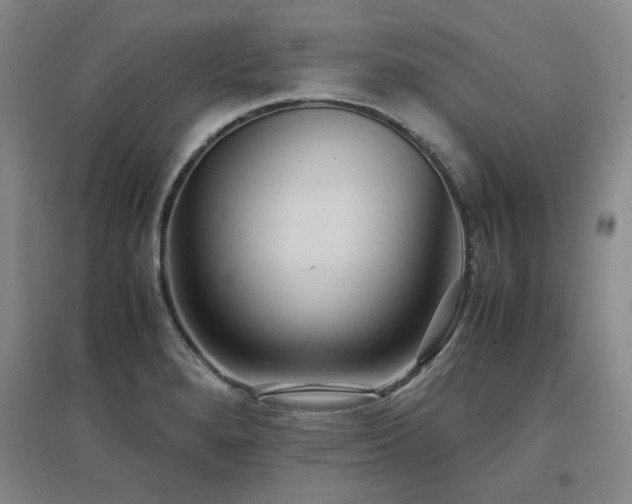 X0000097501280200802221436