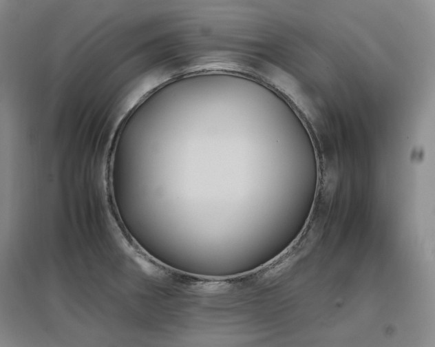 X0000097501282200802221436