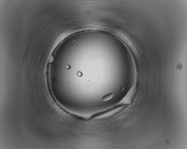 X0000097501283200802221436