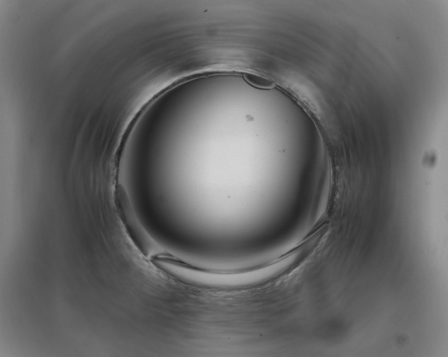 X0000097501284200802221436