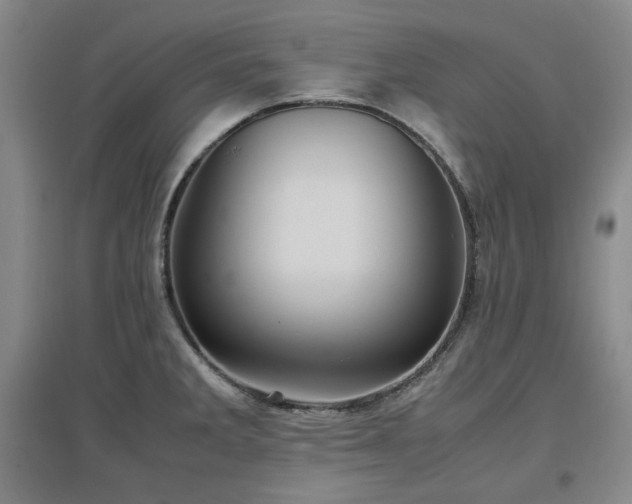 X0000097501285200802221436