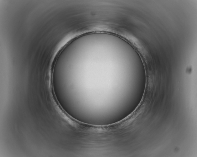 X0000097501286200802221436