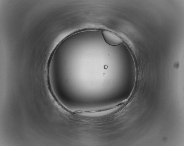 X0000097501287200802221436