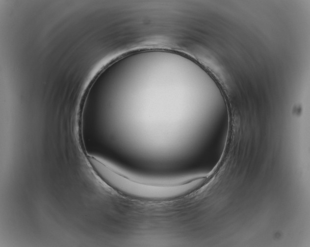 X0000097501288200802221436