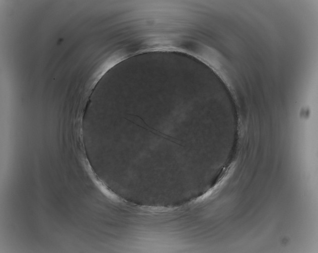 X0000097501289200802221436