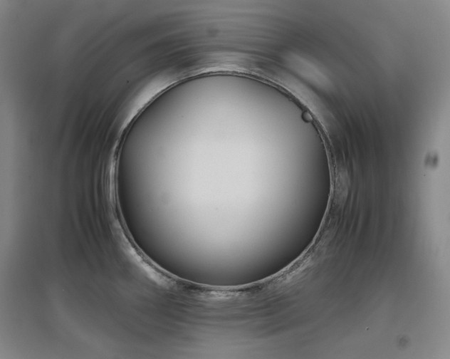 X0000097501290200802221436