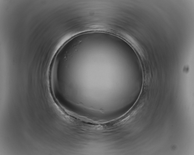 X0000097501291200802221436