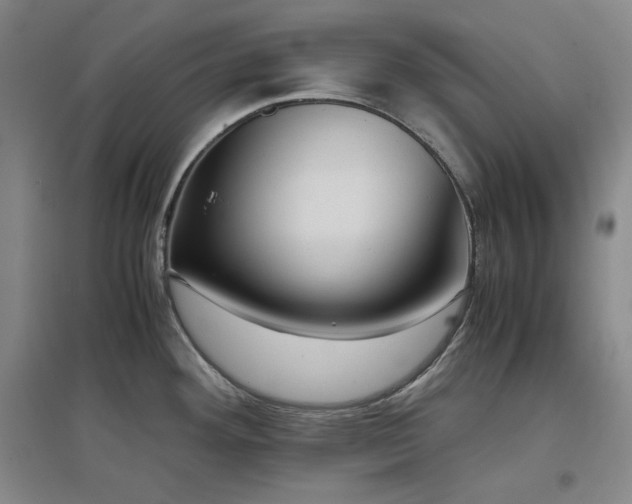 X0000097501292200802221436