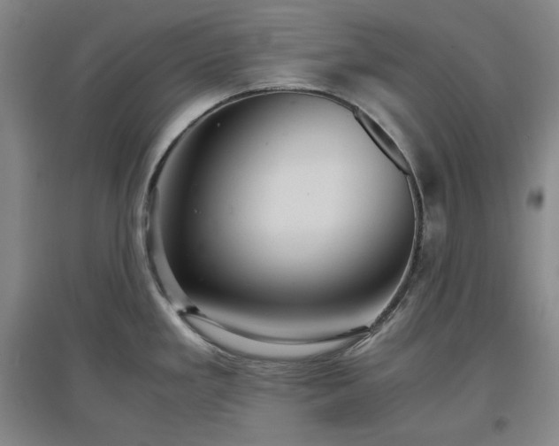 X0000097501293200802221436