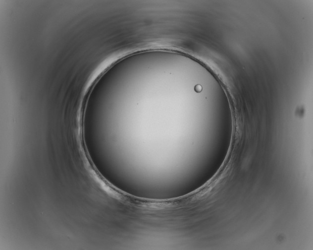 X0000097501294200802221436
