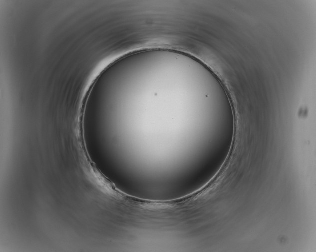 X0000097501296200802221436