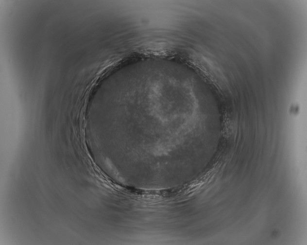 X0000097501297200802221435