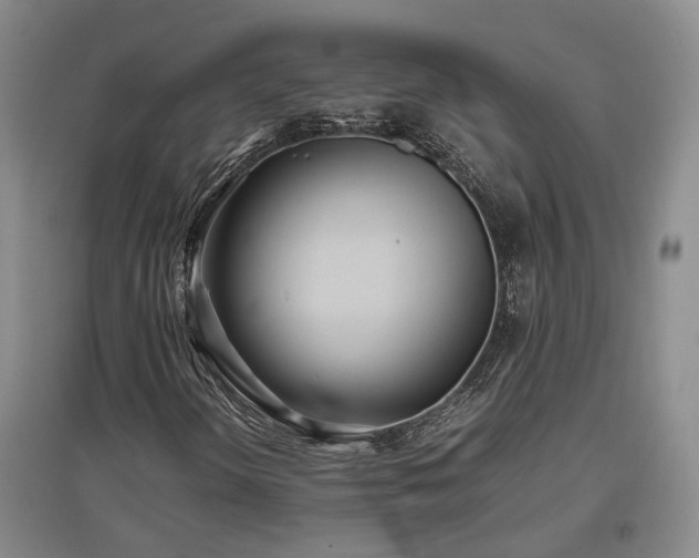 X0000097501298200802221435