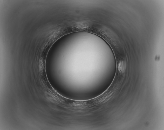 X0000097501299200802221435