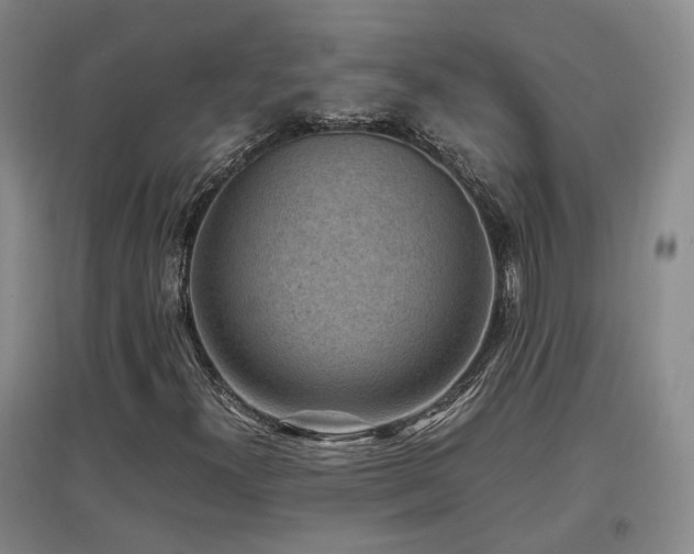 X0000097501300200802221435