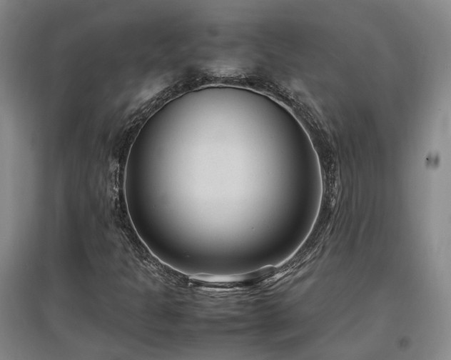 X0000097501301200802221435