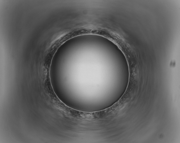 X0000097501302200802221435