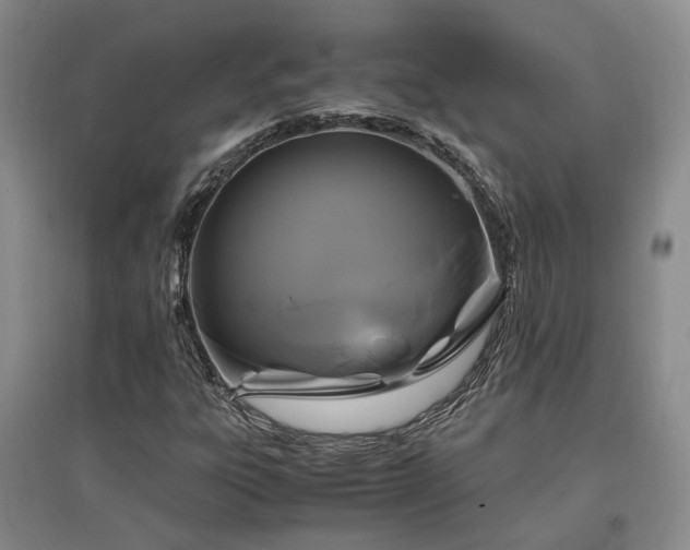 X0000097501303200802221435
