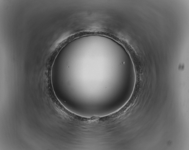 X0000097501304200802221435