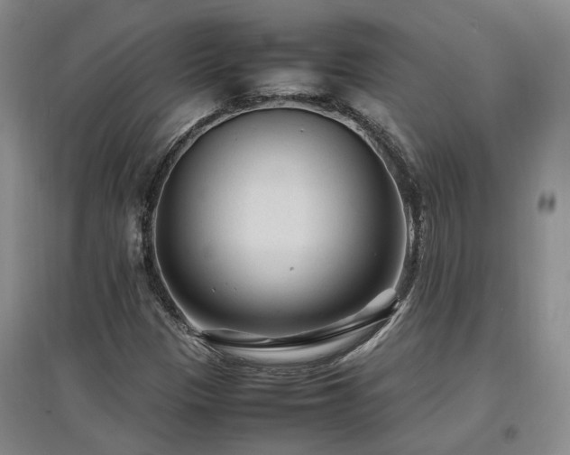 X0000097501305200802221435