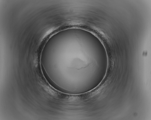 X0000097501306200802221435