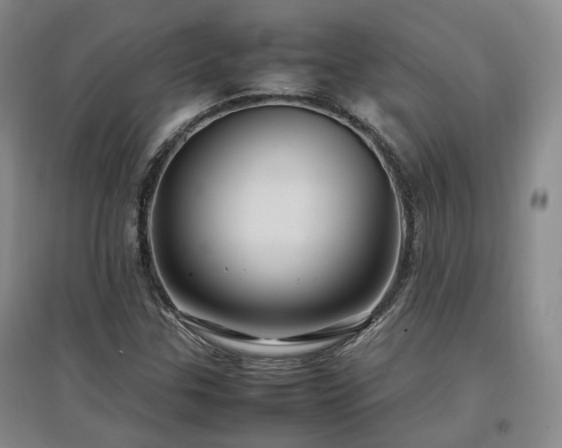 X0000097501307200802221435