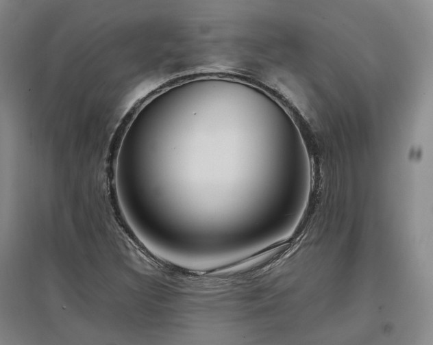 X0000097501308200802221435