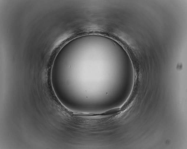 X0000097501309200802221435