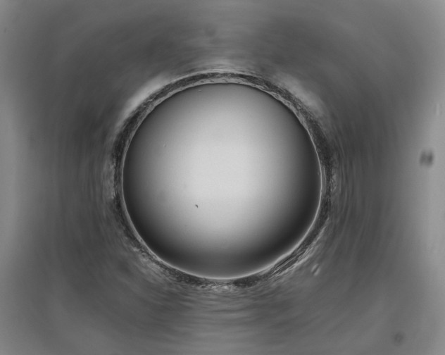 X0000097501310200802221435