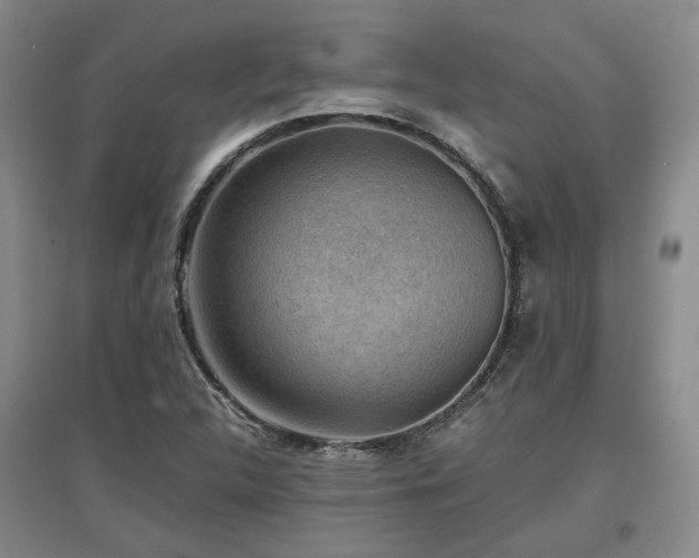 X0000097501312200802221435