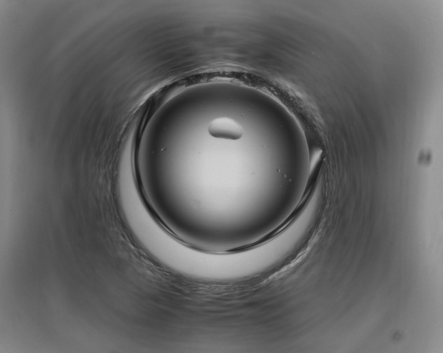 X0000097501313200802221435