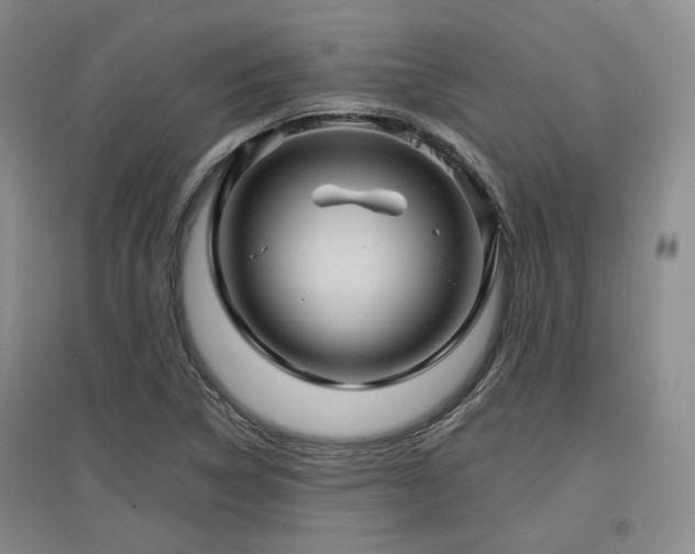 X0000097501314200802221435
