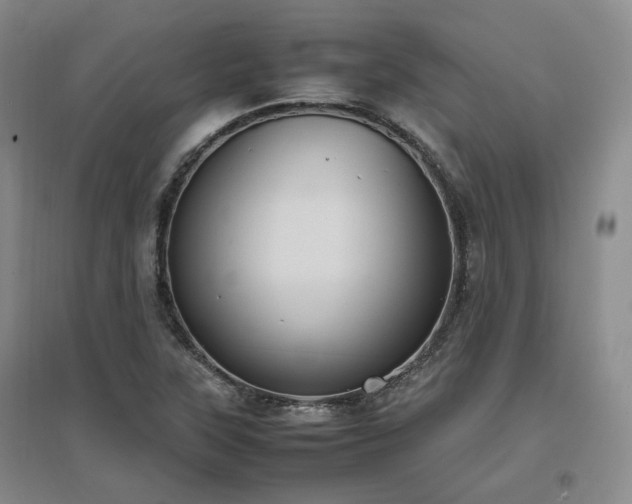 X0000097501315200802221435