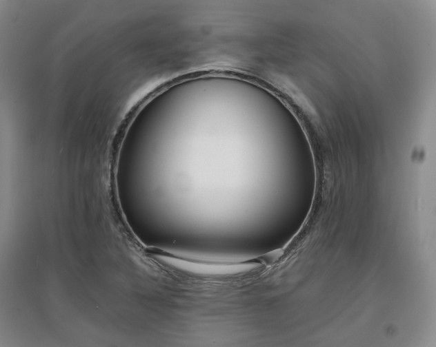 X0000097501316200802221435