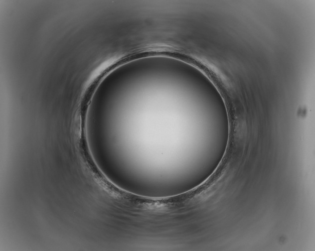 X0000097501317200802221435